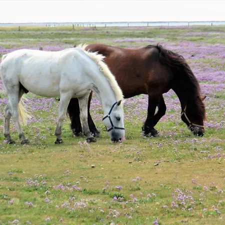 בית נופש Seewind2 *